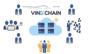 vinchain 2.jpg