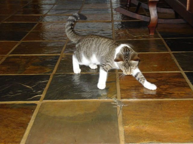 DSC01964.JPG