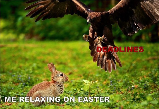 DEADLINES APPROACHING.JPG