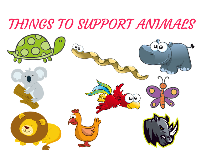 support_animal.png