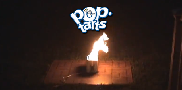 pop-tarts_toaster_experiment.png