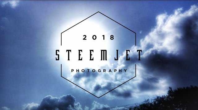 Steem Photography.jpg