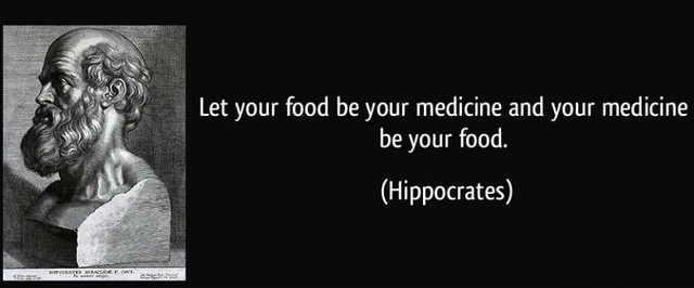 quote-let-your-food-be-your-medicine-and-your-medicine-be-your-food-hippocrates-294723.jpg