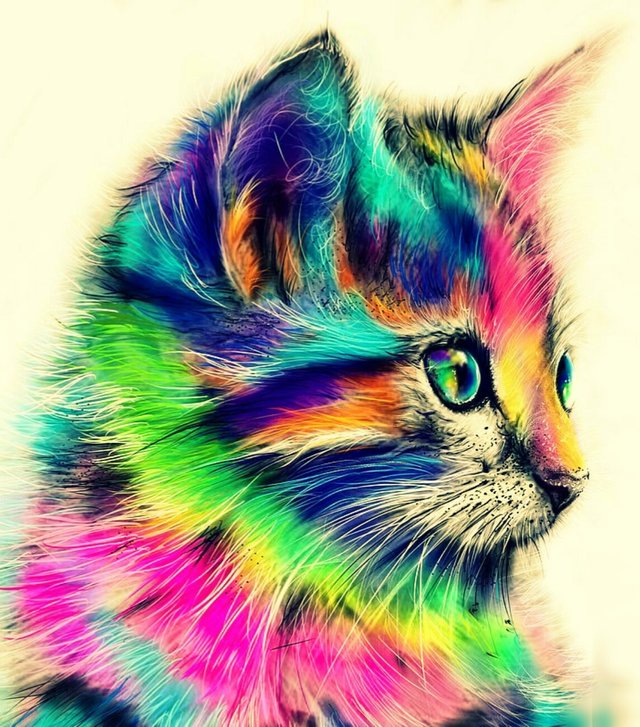 Яна Литвинова_Color kitty_YkRlQWFRcA.jpg