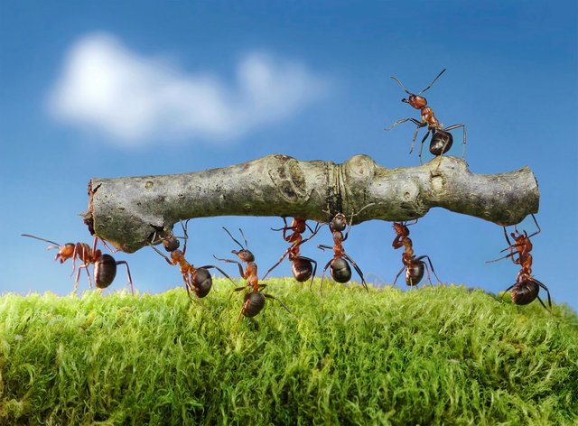 blockchain deep analize leader ant.jpg