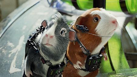 g-force-guinea-pigs.jpg