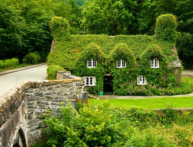 before autumn north wales.jpg