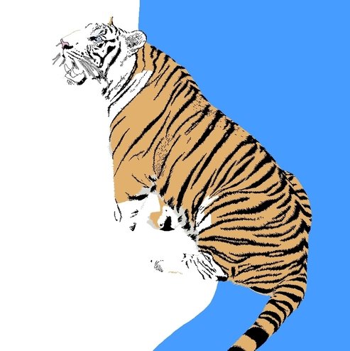 tiger.jpg