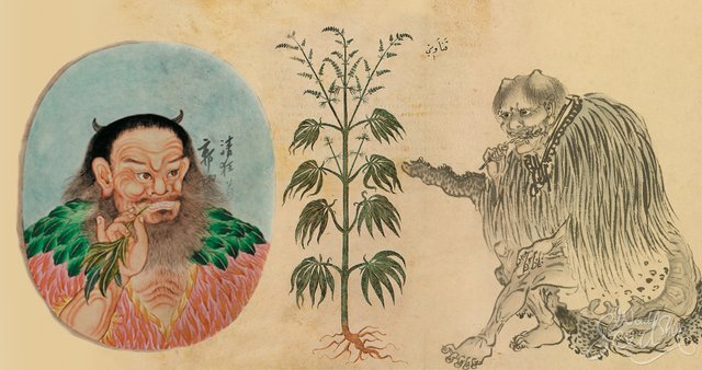 history-of-cannabis-china.jpg