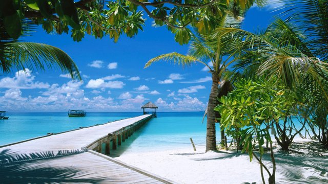 wallpaper-paradise-1.jpg