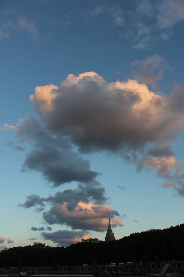 mug_obj_139393762047092633 (1).jpeg