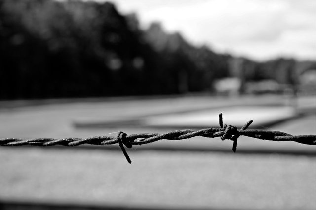 BARBED WIRE .jpg