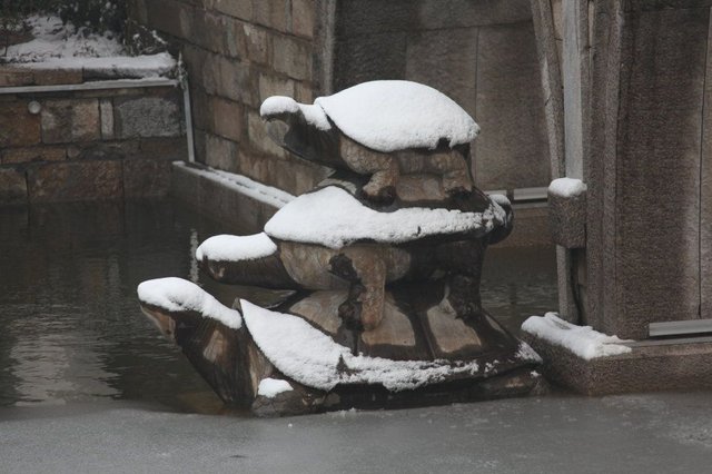 乌龟雪景.jpg