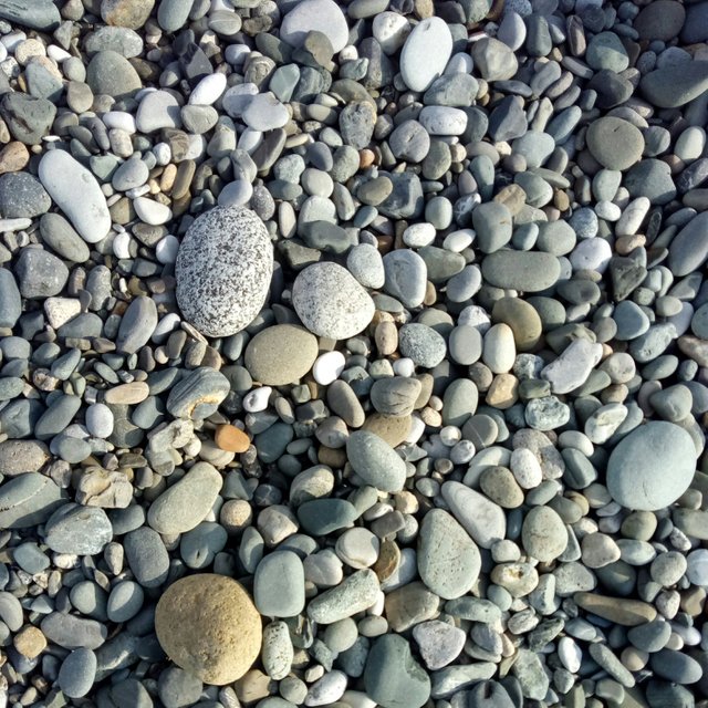 P71111-141625.jpg