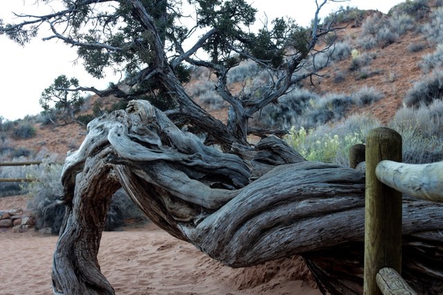 Arches NP-9.jpg