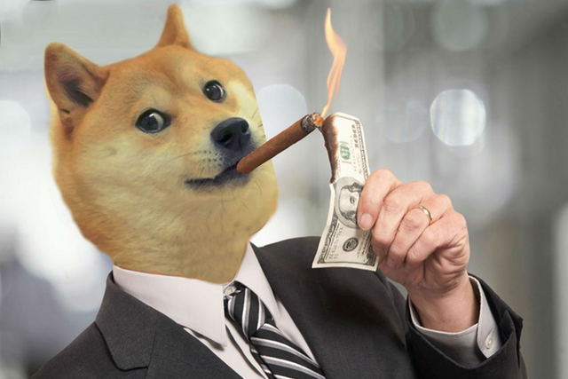 Doge knows the score