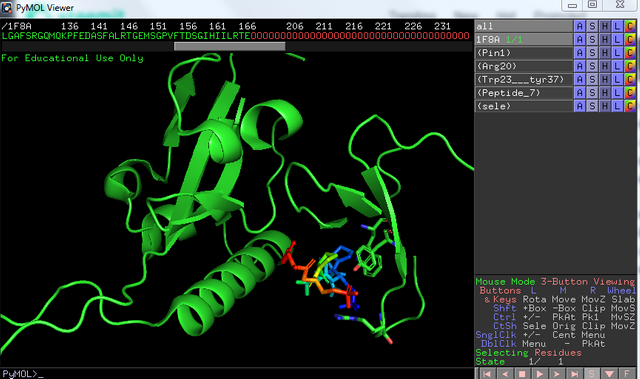 pymol2.PNG