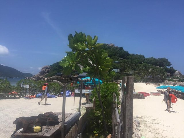 Nang Yuan island10.jpg