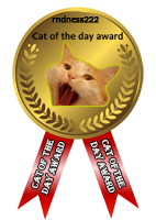 MEDAL_CAT_OF_THE_DAY_small.png