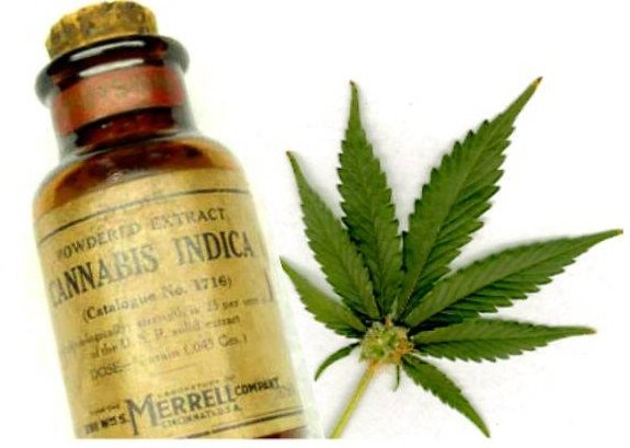 cannabis-oils.jpg
