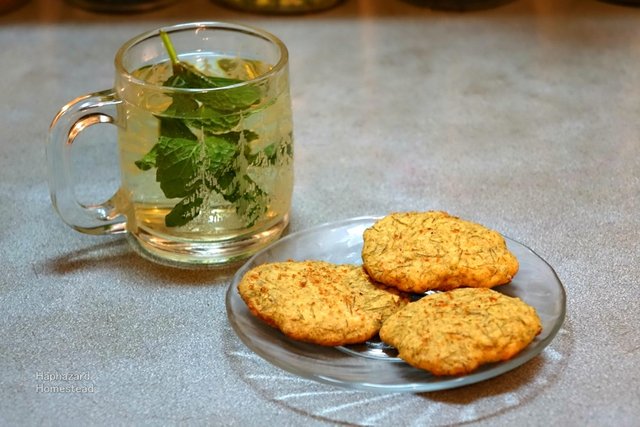 x spruce tree and pine pollen cookies.jpg