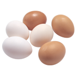 egg-2.png