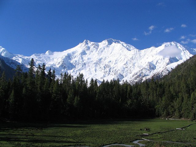 1280px-Nanga_parbat,_Pakistan_by_gul791.jpg