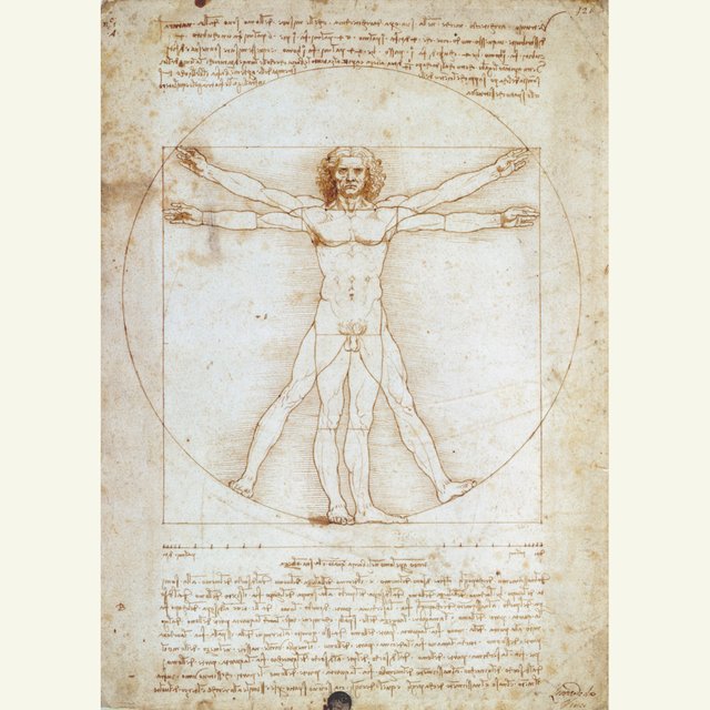 The Vitruvian Man.jpg