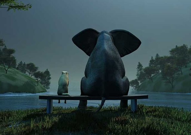 The Elephant And The Dog.jpg