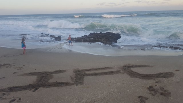 beach rocks ifc.jpg