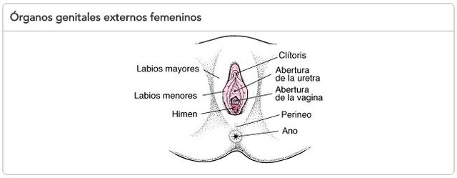 FEMININO.jpg