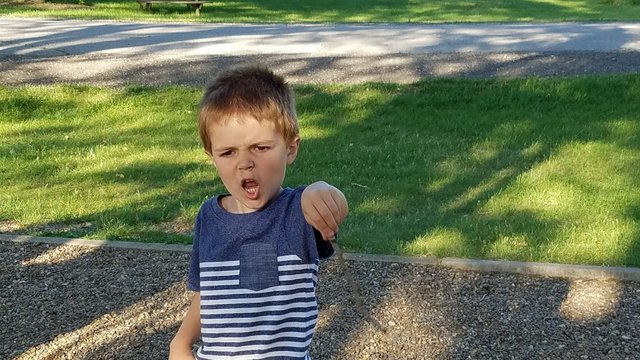 20170606_184100.jpg