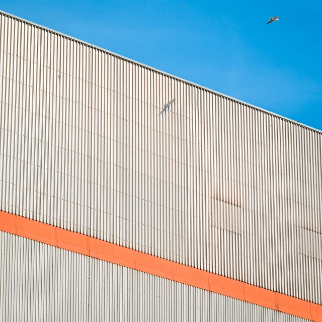 Shadow of a gull on a wall