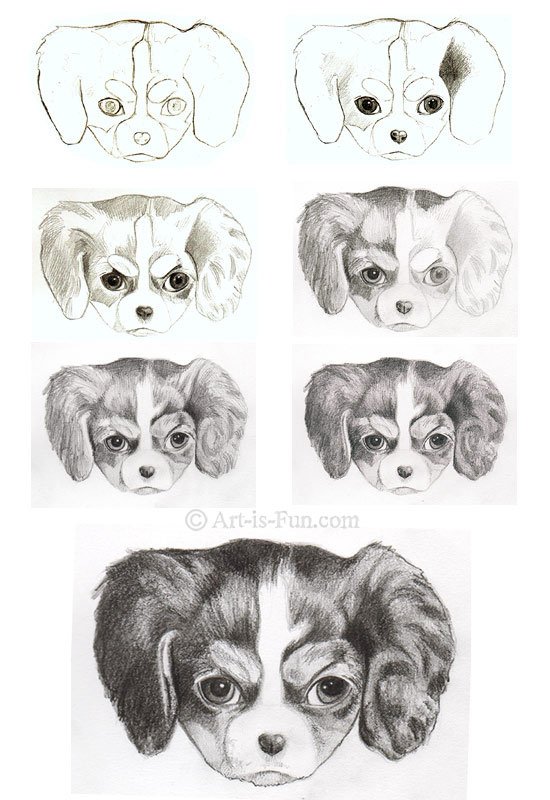 how-to-draw-a-puppy-step-by-step.jpg