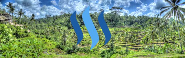 Bali.jpg
