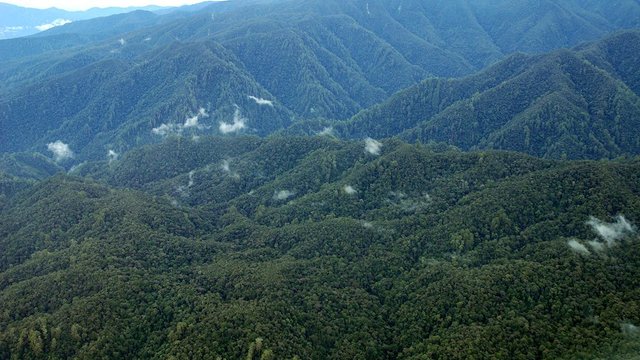 Leuser atas.JPG