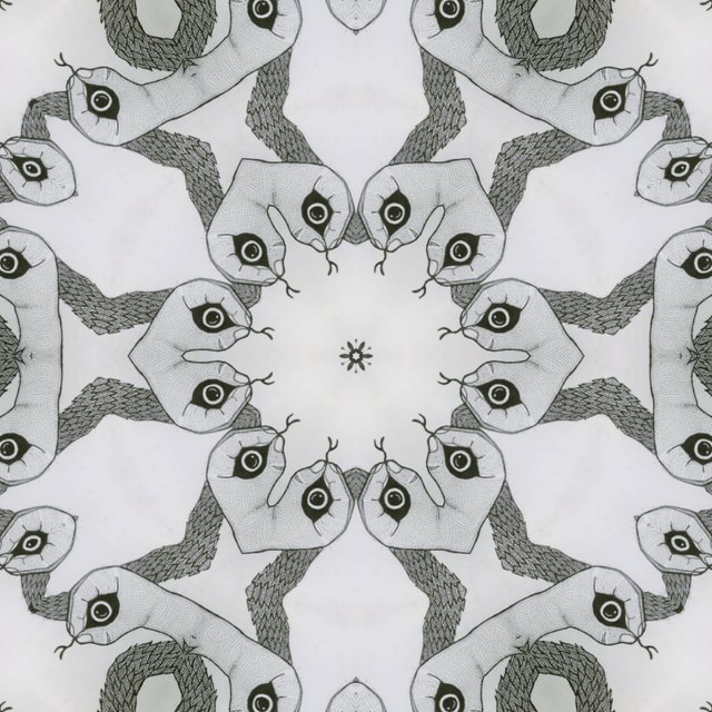 image%3A1143_mirror3.jpg