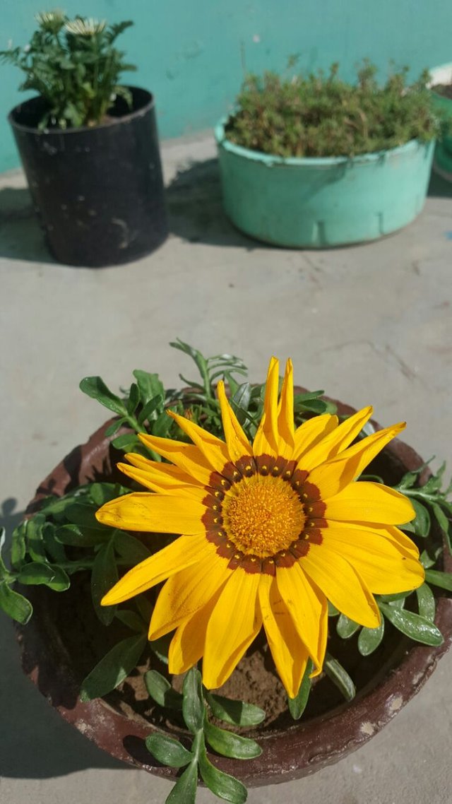 IMG-20180305-WA0005.jpg