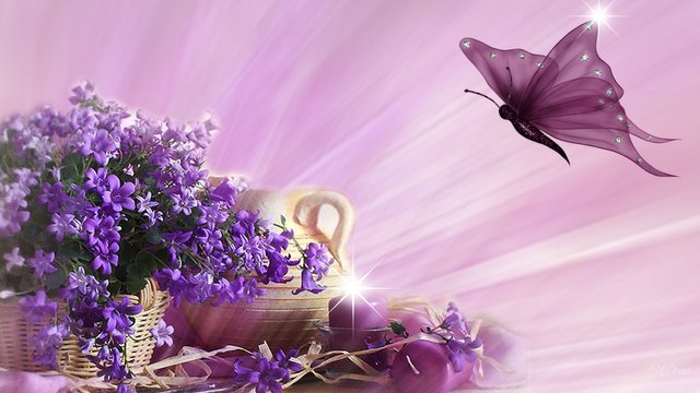 purple-butterfly-flying-wallpaper-2.jpg