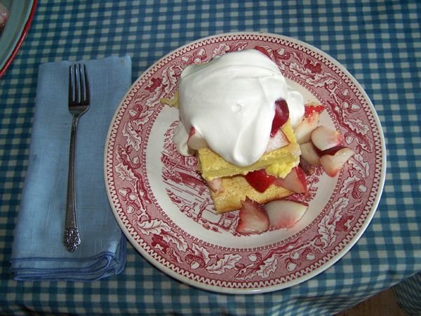 Peach shortcake and whipped cream crop Aug. 2017.jpg