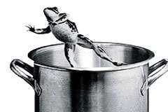 frog-boiling-pot.jpg