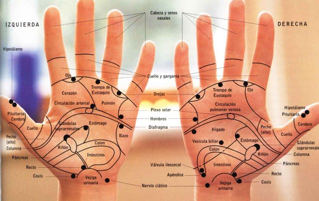 reflexologia-mano.jpg