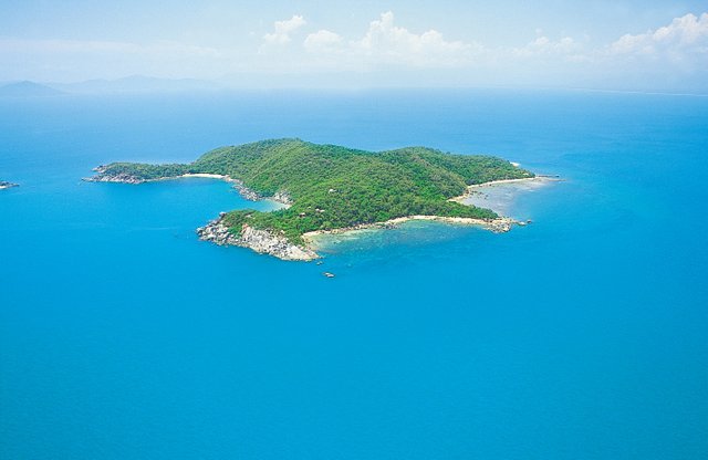 steem island.jpg