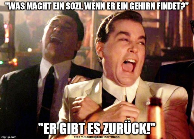 sozi gibt hirn zurück neuland-memes good fellas.jpg