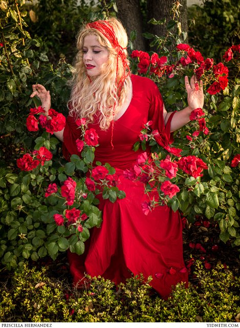 Roses are red - by priscilla Hernandez (yidneth.com)-2.jpg