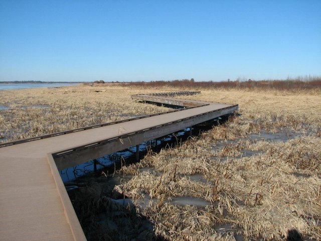 NecedahNWR Walk.jpg