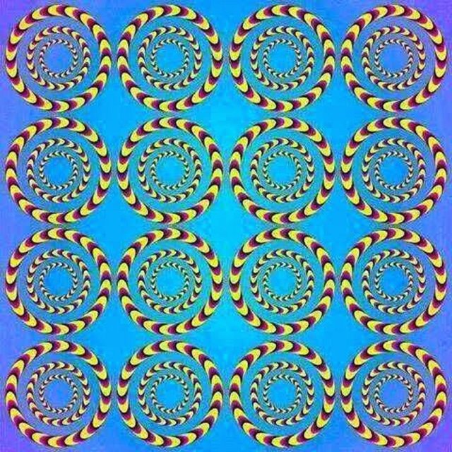 Concentric Circles Optical Illusion.jpg