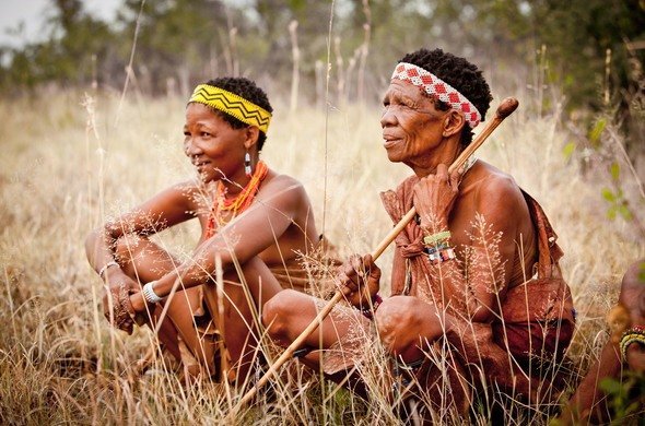 jacks-camp-bushmen-walk-590x390.jpg