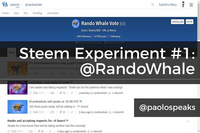 Steem Experiment #1 - RandoWhale.jpg