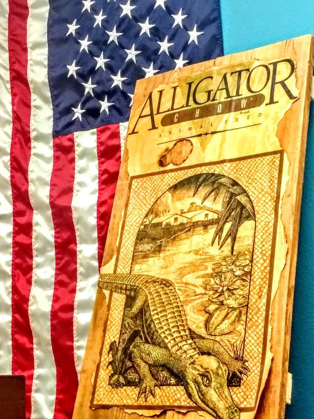 alligator chow.jpg